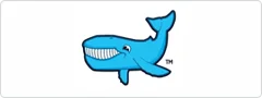 Baleen Filters